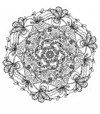 Mandala a colorier fleurs vegetation a imprimer 14